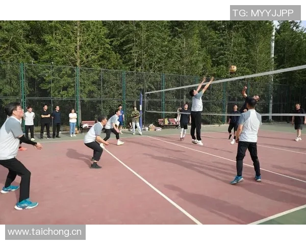 广州排球队灵活性变革引发热议展现新风貌与发展潜力